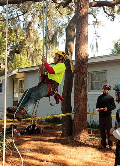 Jordan Voelker of Limber Tree Services (Woodstock, NY)  Entering the tree for a climbing event.<br/>Geezers In The Treezers Competition, FL<br/>January 2013