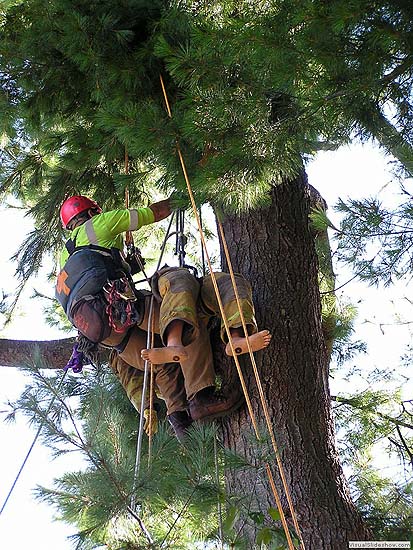 Aerial Rescue Training<br/>