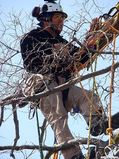 Spring Pruning On The Potomac!