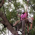 Rick Competing in the Aerial Rescue Event.<br/>Geezers In The Treezers January 2009