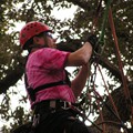 Jake Competing in the Aerial Rescue Event.<br/>Geezers In The Treezers January 2009