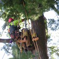 Aerial Rescue Training<br/>