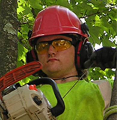 Aaron Wood Tree Trimming and Removal